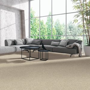 Carpeting | Tish flooring