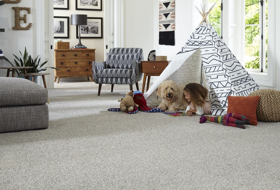 Grey Carpet flooring