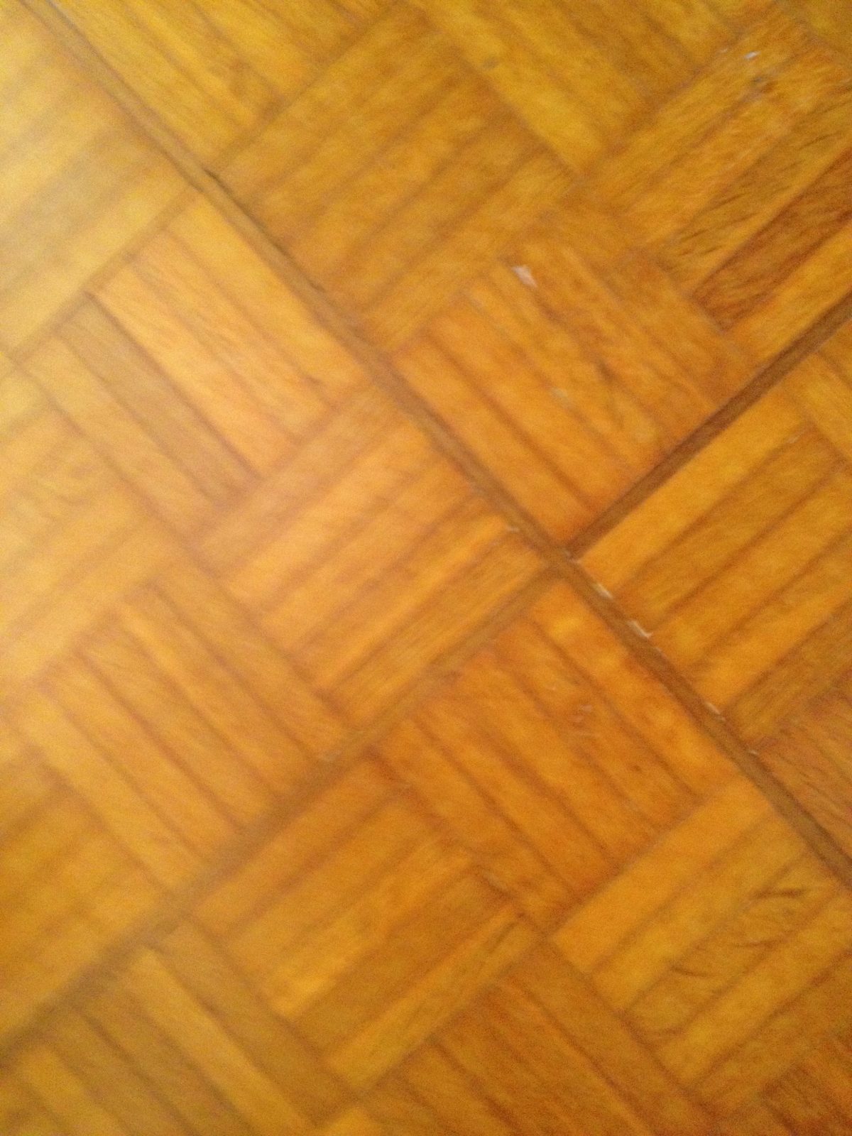 The original oak parquet flooring