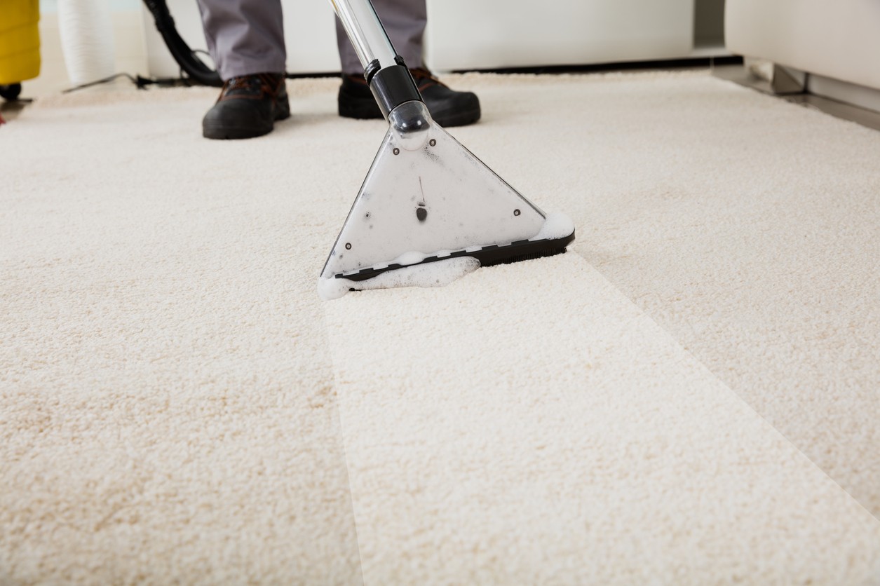 How Often Should You Have Carpet Professionally Cleaned In Indianapolis IN Tish Flooring