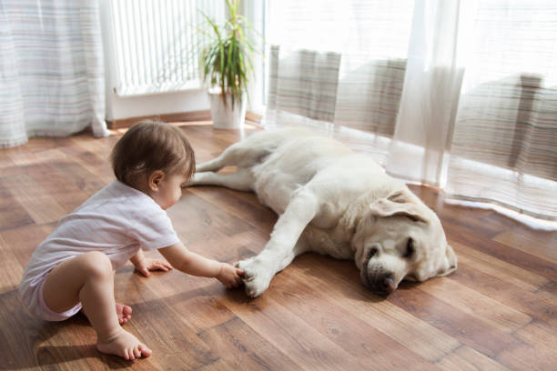 Kid playing with dog | Tish Flooring
