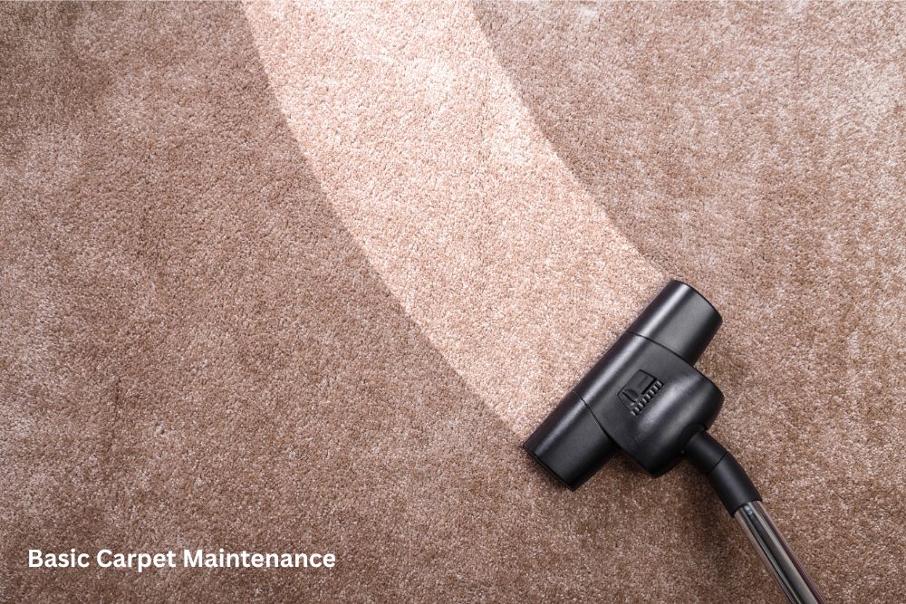 Carpet cleaning | Tish Flooring